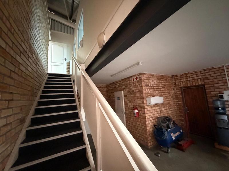 To Let Commercial Property for Rent in Newton Park Eastern Cape